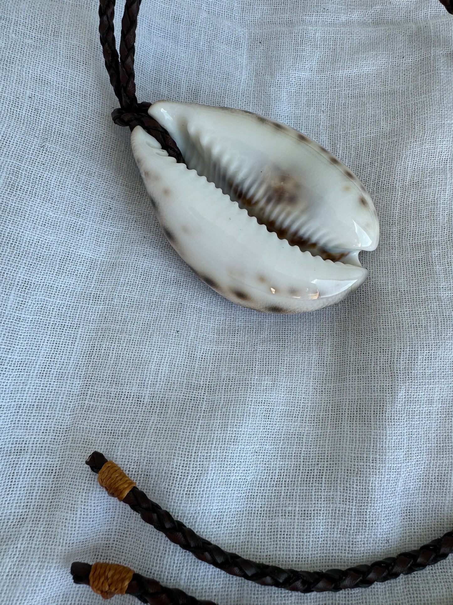 Collar coquille