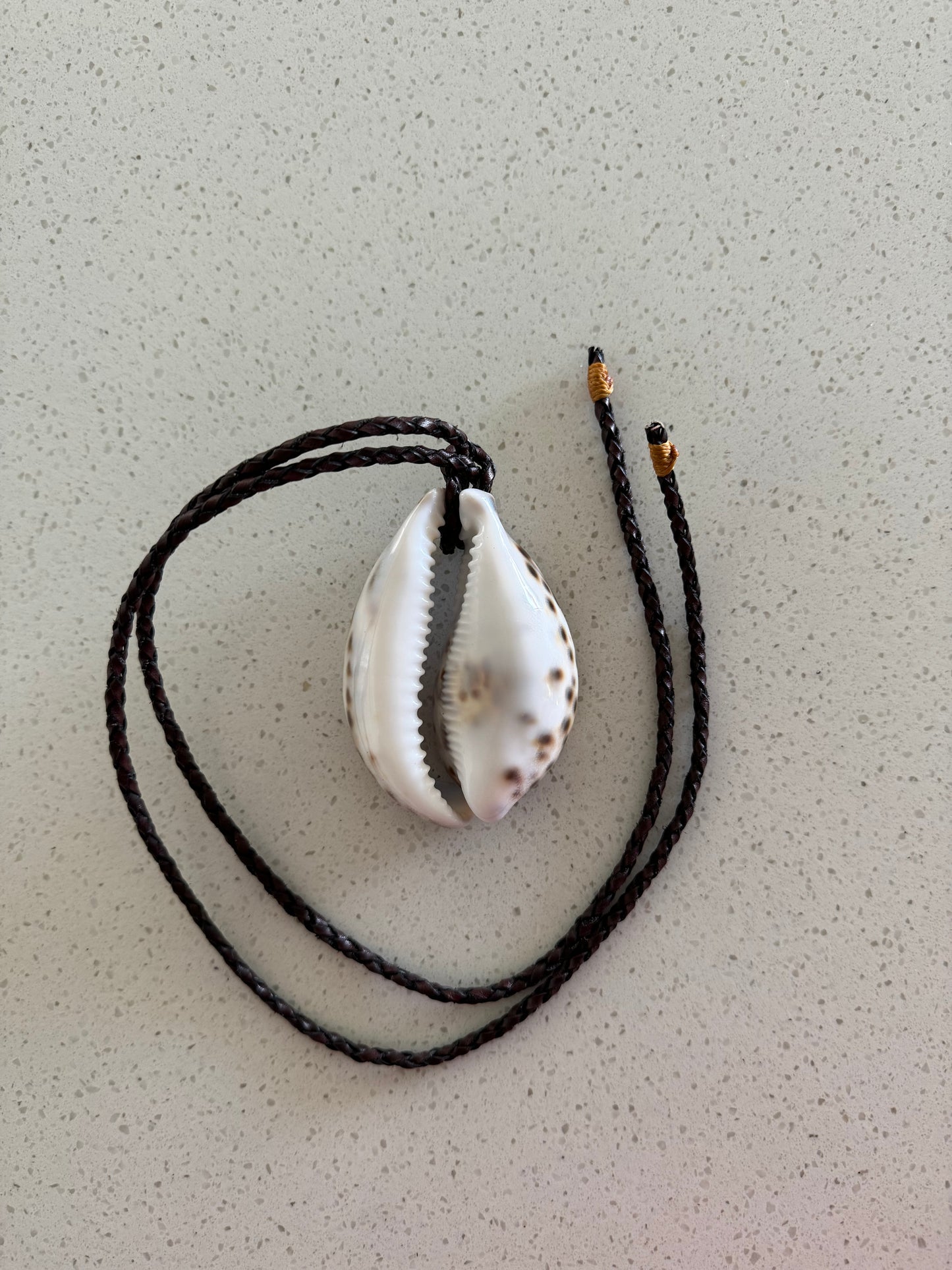 Collar coquille