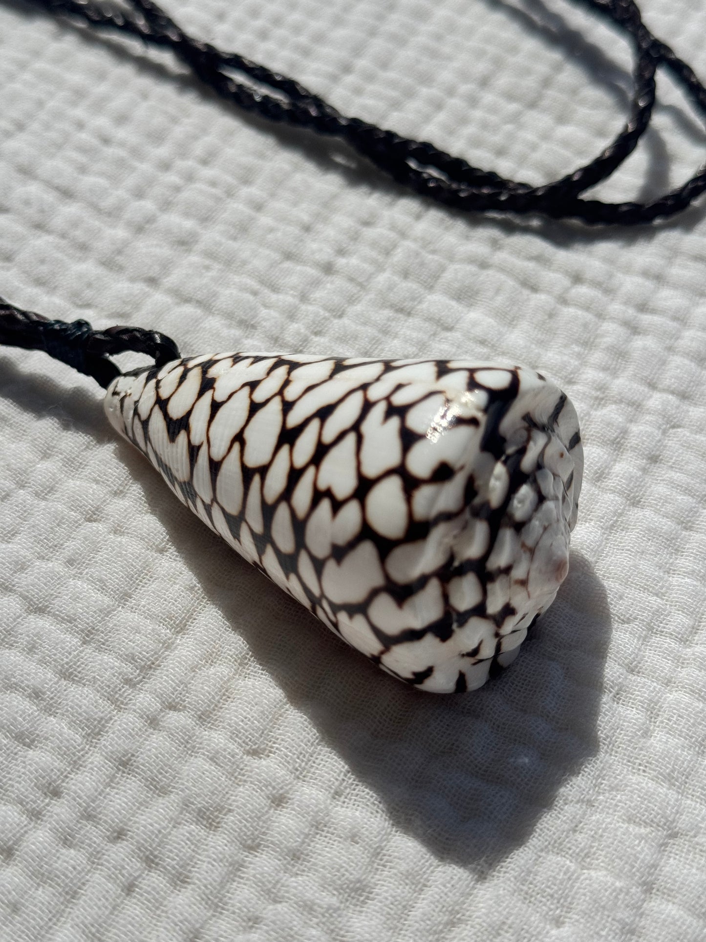Collar caracola cono
