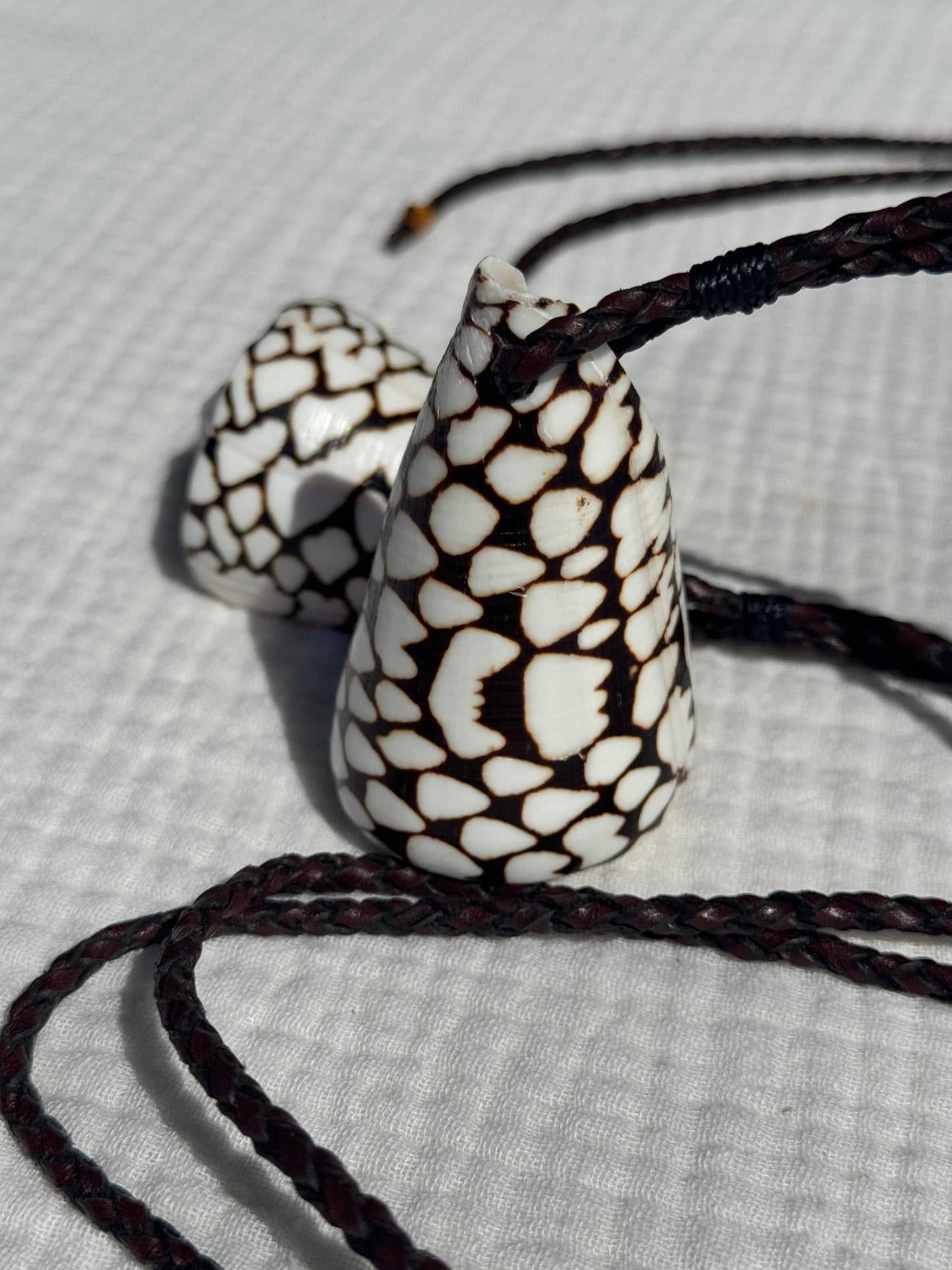 Collar caracola cono