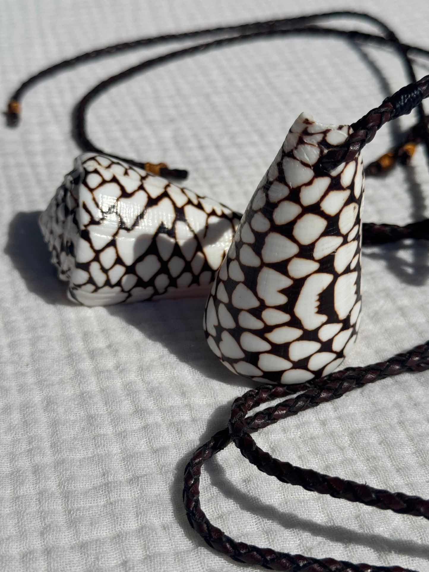 Collar caracola cono