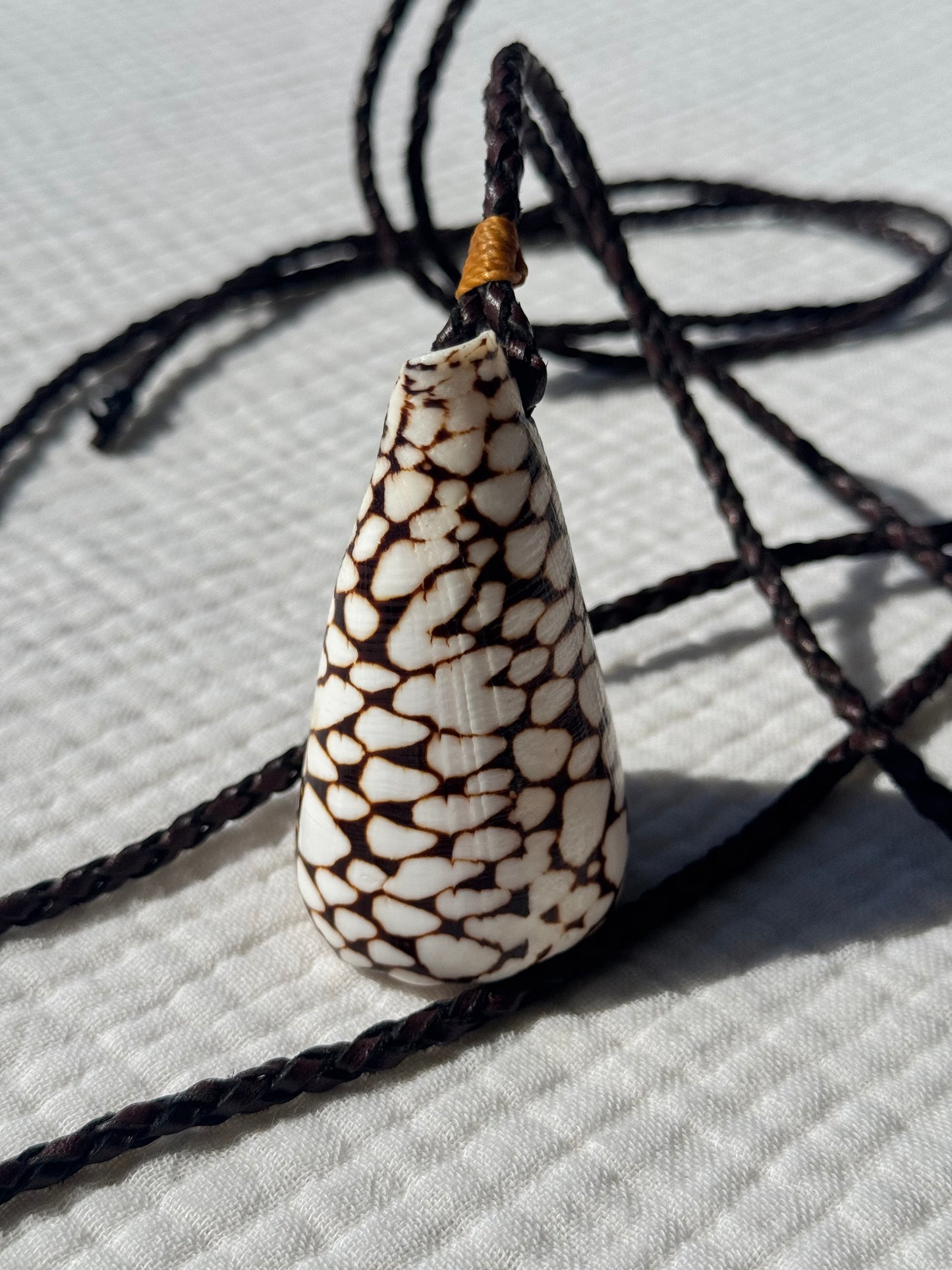 Collar caracola cono