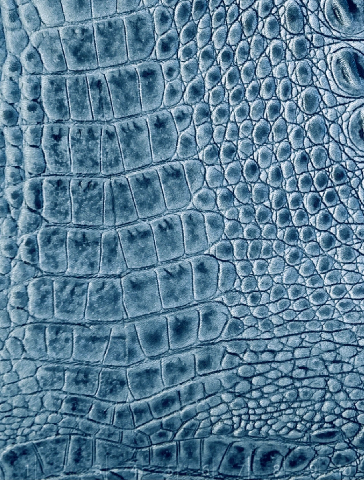 Maja Azul Croco / Nude