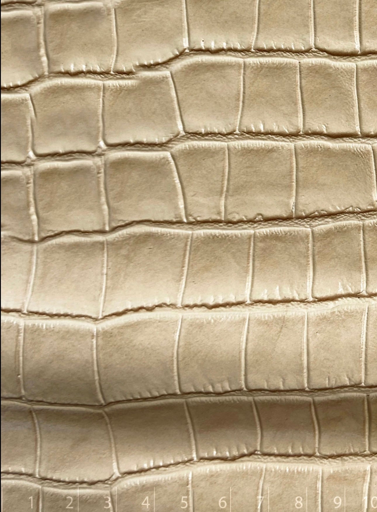 Maja Beige Croco / Moro