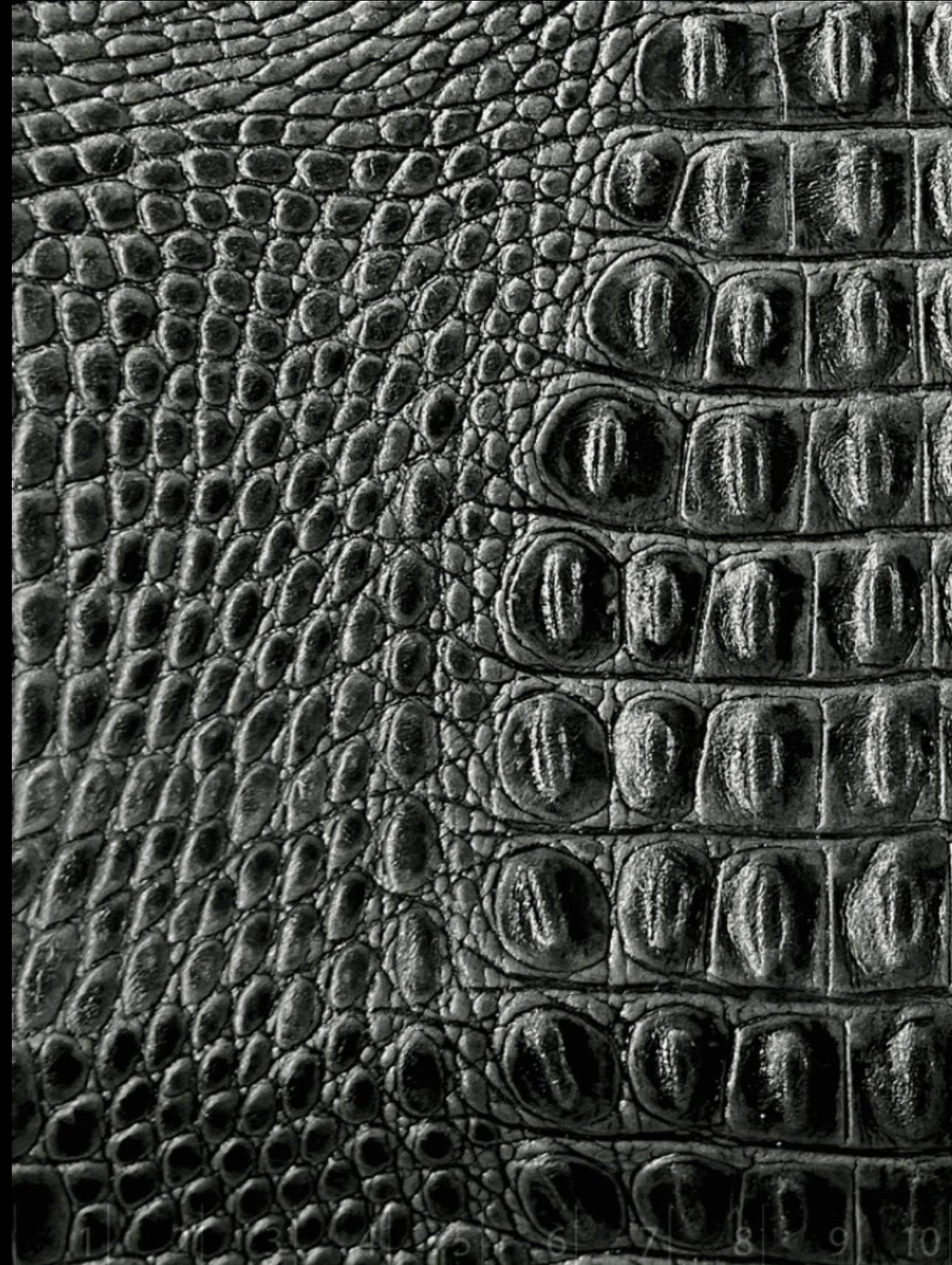 Maja Negra Croco / Caoba