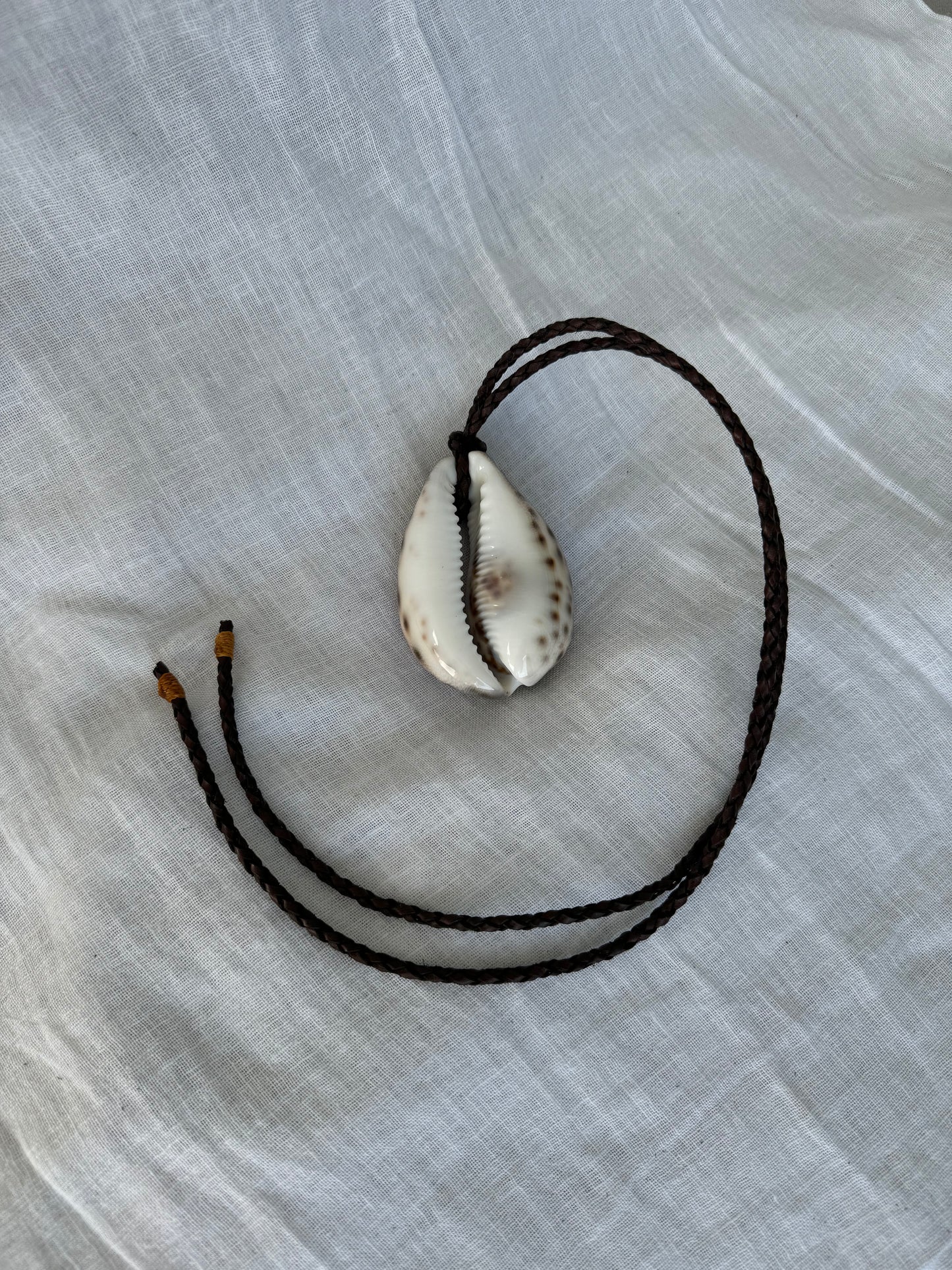 Collar coquille