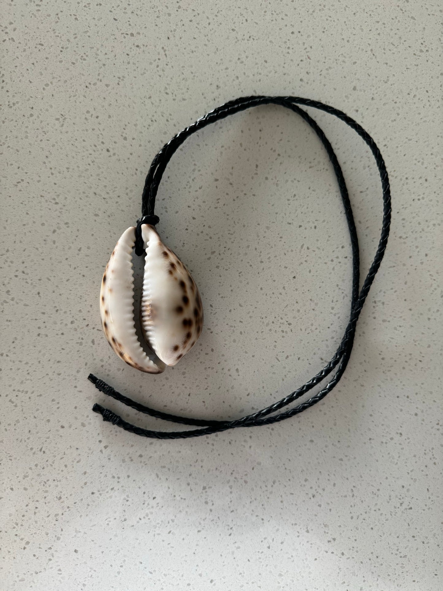 Collar coquille