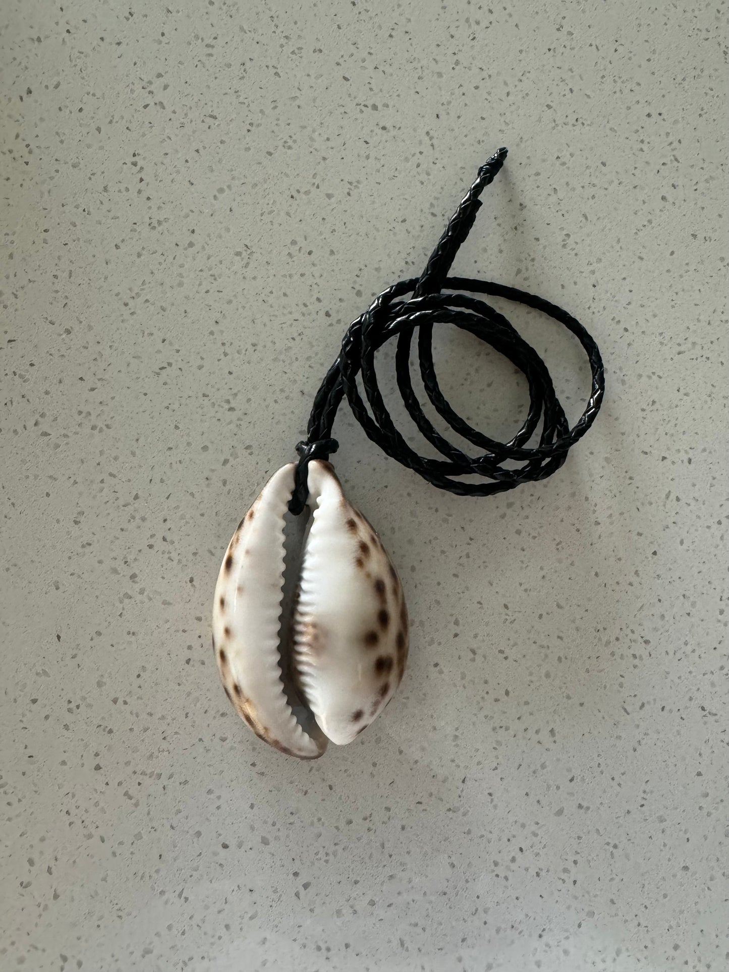Collar coquille